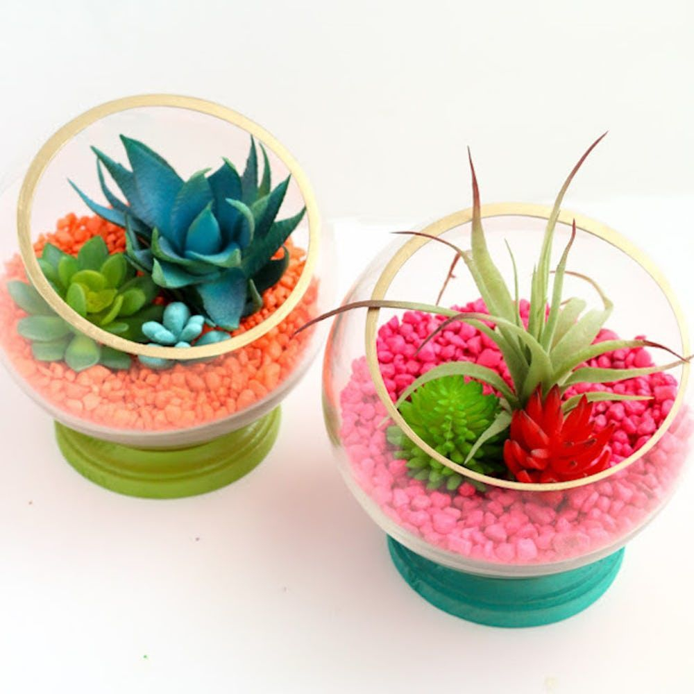 The key to creating an eye-catching terrarium is in the layering! Make sure to place it in a sunny spot once you're done. goo.gl/fUFSGn
