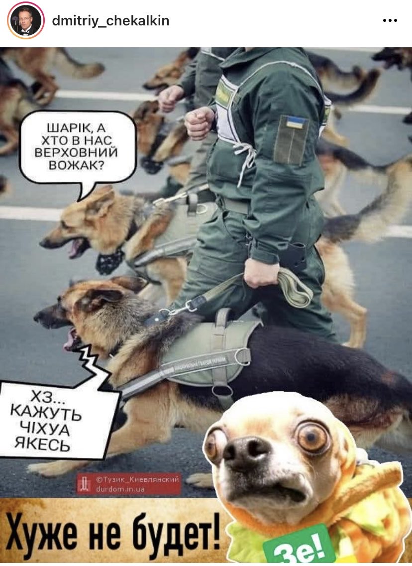 Бриллиантовый Зеленский и Кот-Порохобот - Цензор.НЕТ 215