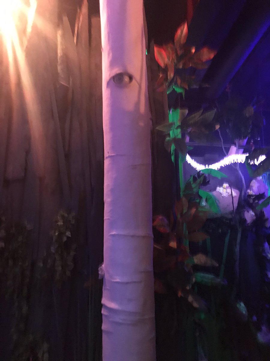daniellel00k's tweet photo. @MeowWolf Definitely Aspens. 👁 https://t.co/9MXzLz8chP