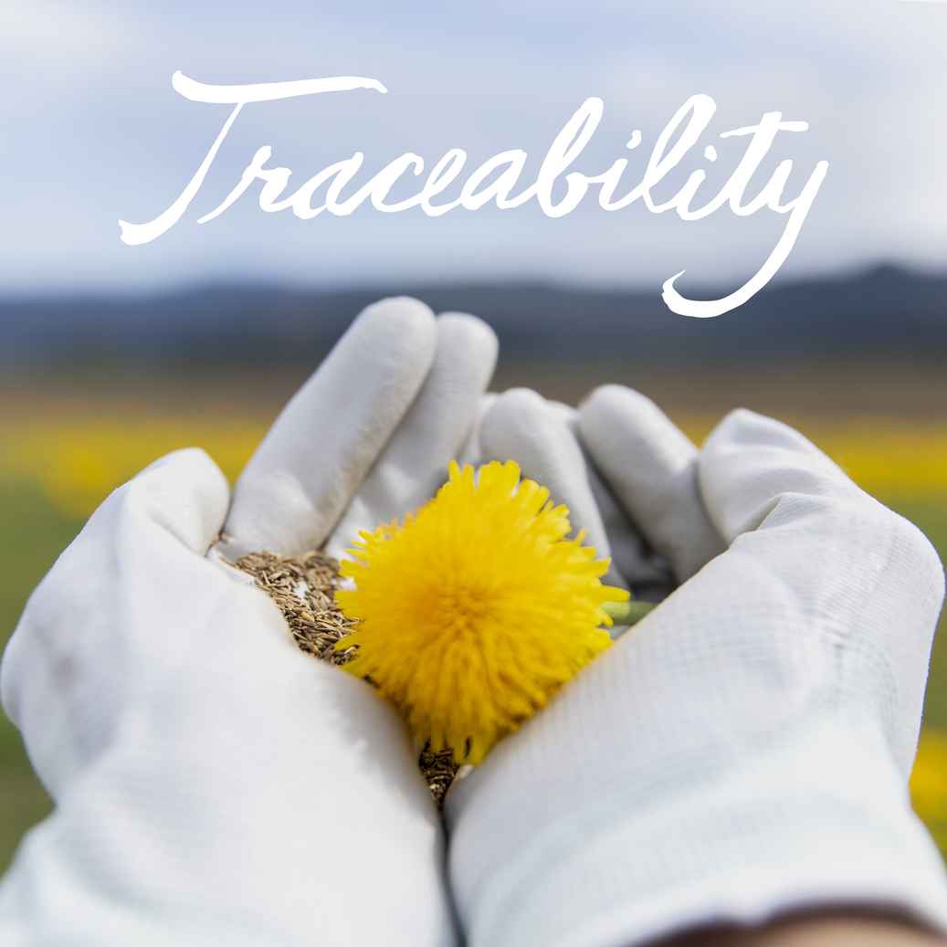 DrSamRehnborg's tweet image. Look for THIS to choose a quality supplement brand. Bit.ly/3kl9pBi #traceability #nutrition #supplements #Nutrilite
