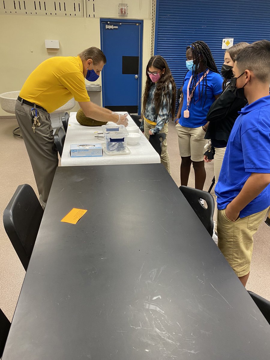 RedlandRoyals's tweet image. Mr. Worthley leading our students in an experiment on Jack Fruit! Pairing the use of technology with hands-on experience! Go Mr. Worthley! 

#mdcps #miamischools #miamisup #mdcpsready #redlandroyals #redlandmiddle #rms #experiments #fruits #agriculture