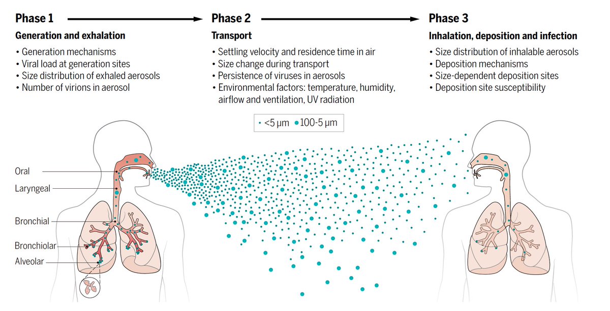 EricTopol's tweet image. Just published @ScienceMagazine  
A phenomenal, tour de force review of aerosol transmission of respiratory viruses, from the experts. #COVIDisAirborne 
 science.sciencemag.org/content/373/65… w/ @ScienceVisuals