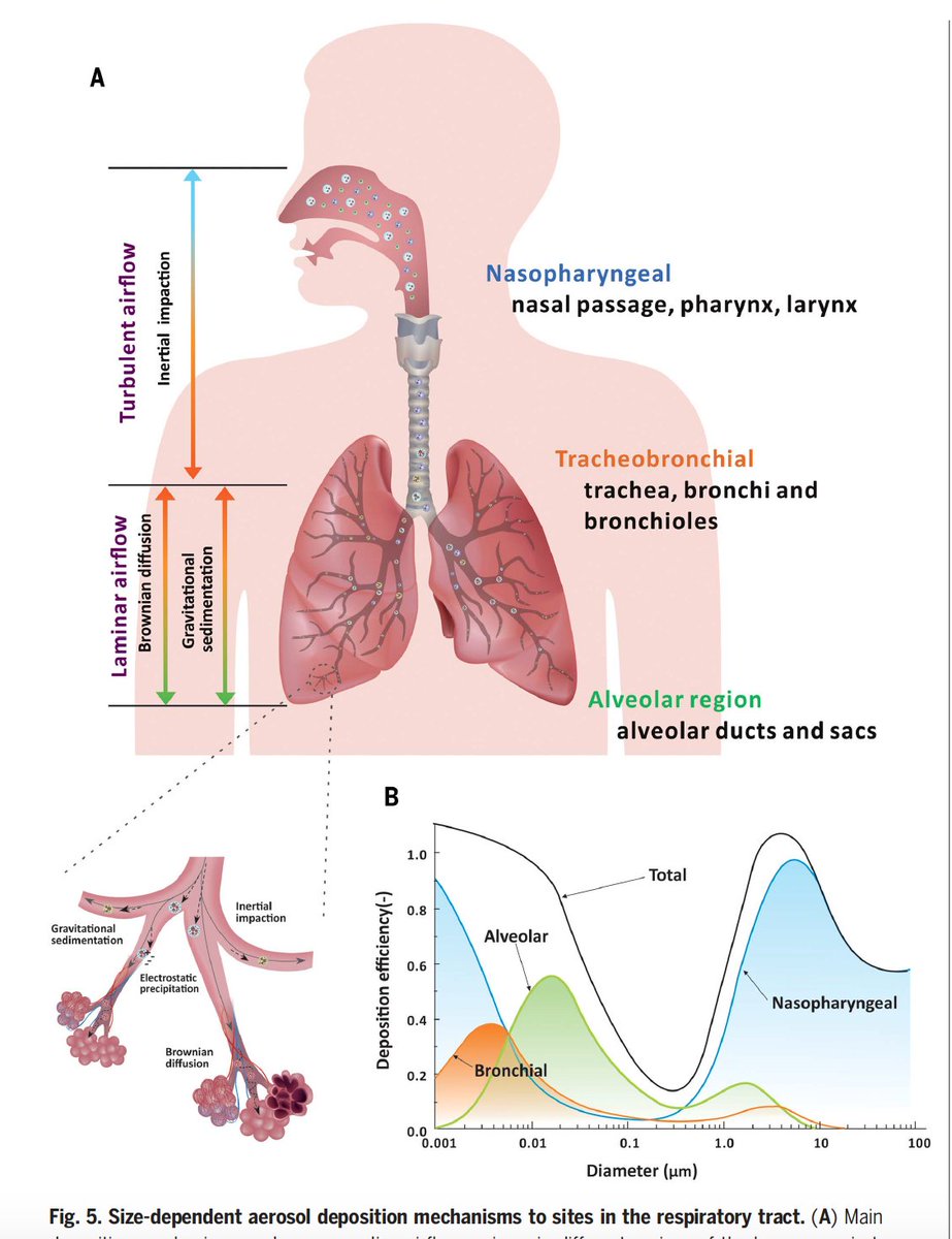 EricTopol's tweet image. Just published @ScienceMagazine  
A phenomenal, tour de force review of aerosol transmission of respiratory viruses, from the experts. #COVIDisAirborne 
 science.sciencemag.org/content/373/65… w/ @ScienceVisuals