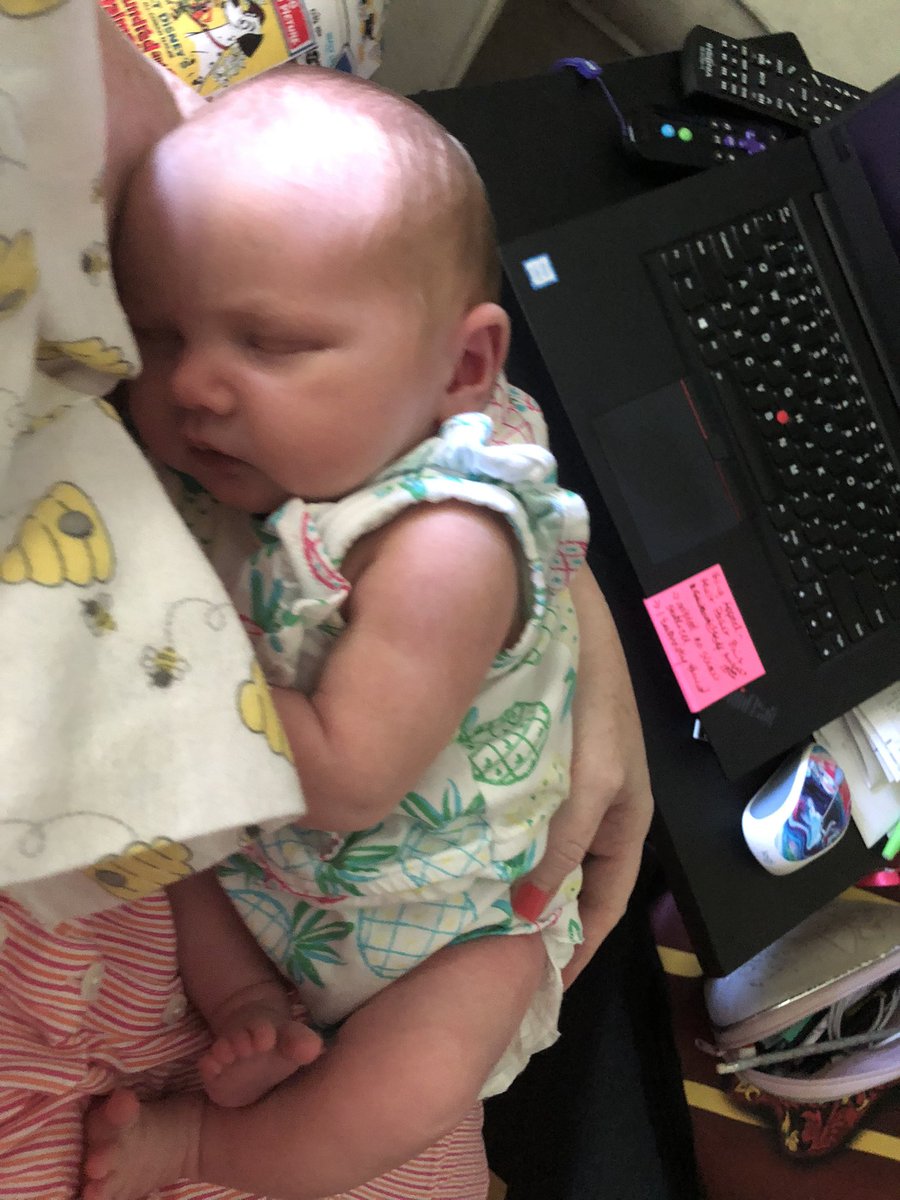 My Office Assistant is sleeping on the job! I may have to dock her pay 🤣