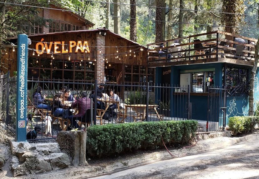 MexPetFriendly's tweet photo. Ovelpaa,Coffee,Bikes and Friends es un restaurante #PetFriendly de #Cdmx, pero esta opción es diferente por que está en un bosque, donde reciben a ciclistas, personas que caminan con perro y familias.
 #MexicoPetFriendly #PerrosReporteros #Petfriendly https://t.co/34zUt3G6Or