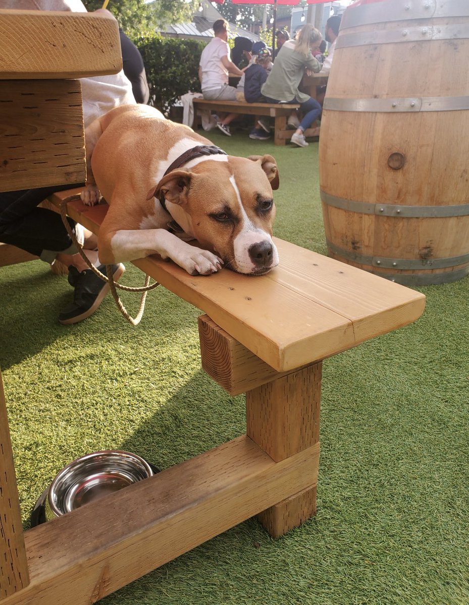 Trading Post Brewing tweet media