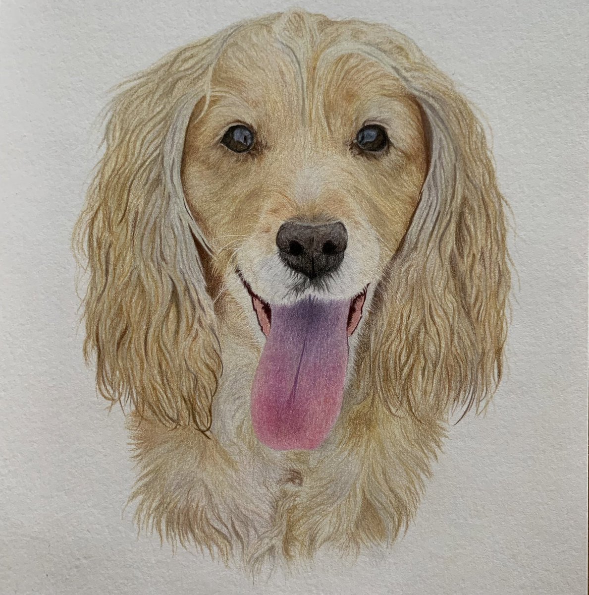 catrinmembery's tweet photo. #NationalDogDay I’ll draw your cute pups for u x
https://t.co/ph1TVwUyY7 https://t.co/qgPcV5LIcV