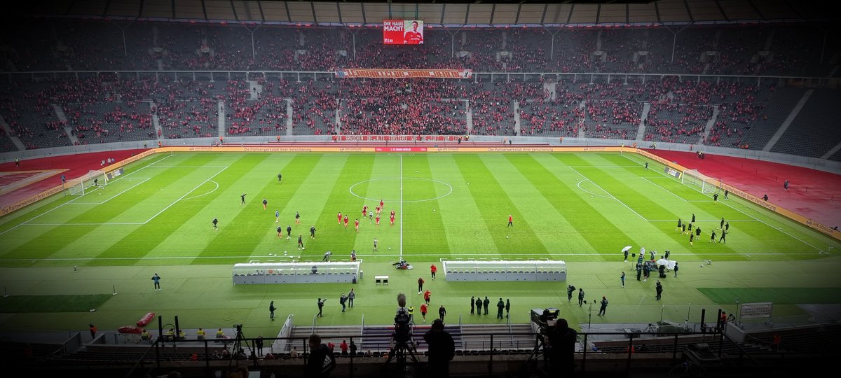 Viki Savonen tweet media