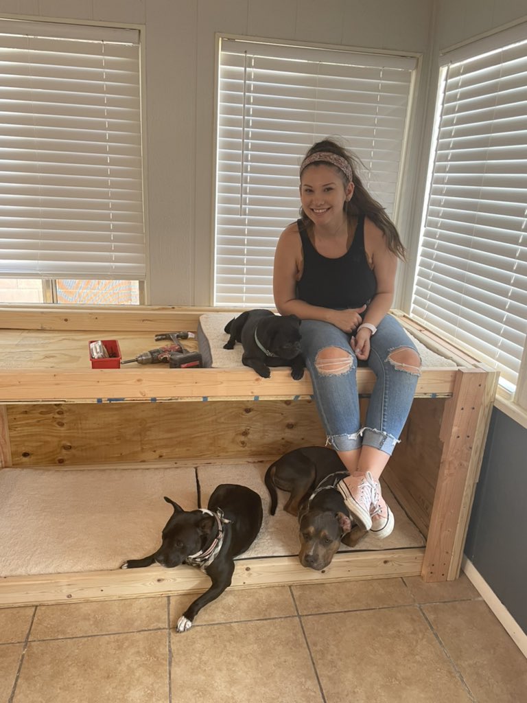 bigboycheddar's tweet photo. Look at this dog bed that my fiancée and my dad helped me build for our boys! https://t.co/gpI667adLa