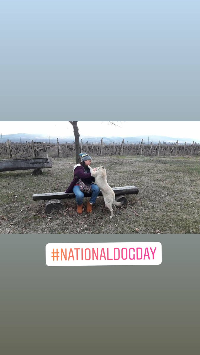 Lana_sang's tweet photo. #NationalDogDay eventhough I don't know this dog but he went near me and played with me like I am his owner... #whileinGeorgia
#GEORGIA https://t.co/WEqfnQ2LZB