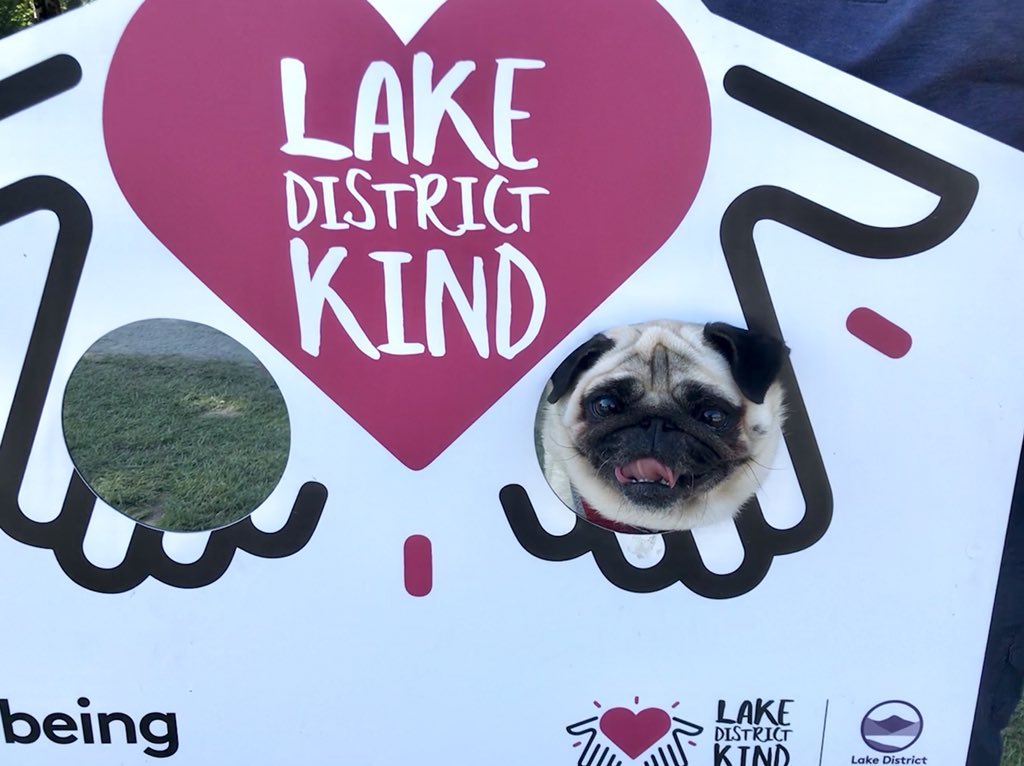 🐶💜  #LakeDistrictKind