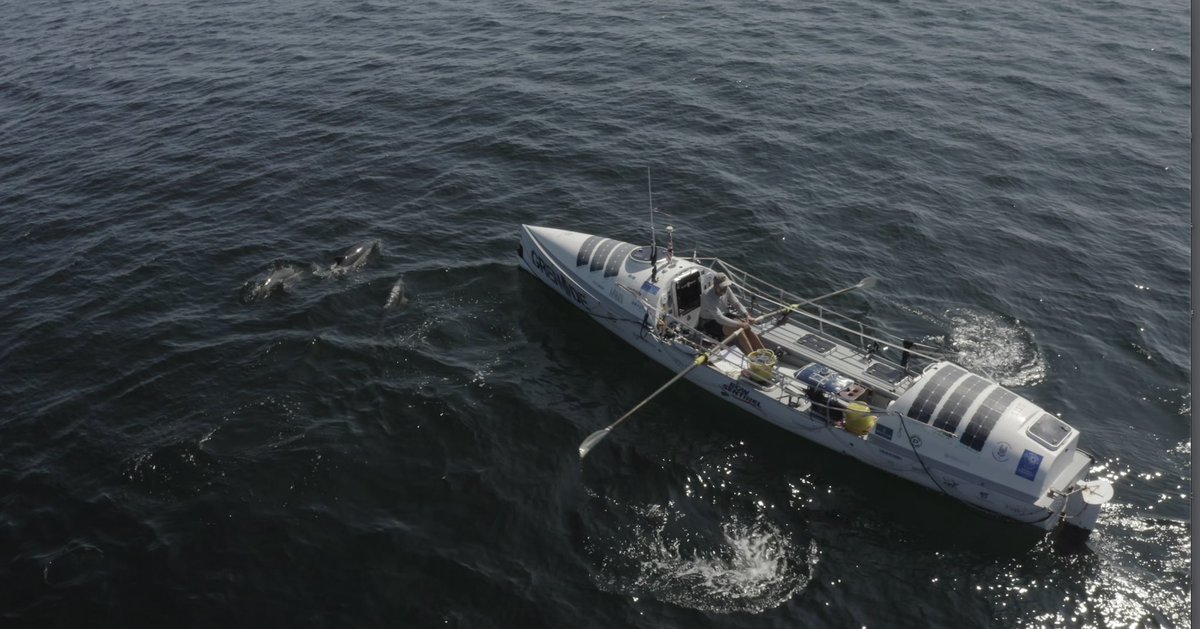 DOLPHINS! 😍

One oh the highlights of Ian’s approach to St Mary’s Harbour was the company he had 🐬
 
The Isles of Scilly are a very special place full of amazing wildlife @visitIOS @StMarysHbr @OfIsles @scillyboating