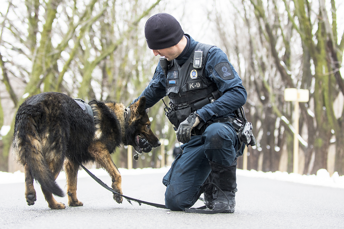 ME at SPVM