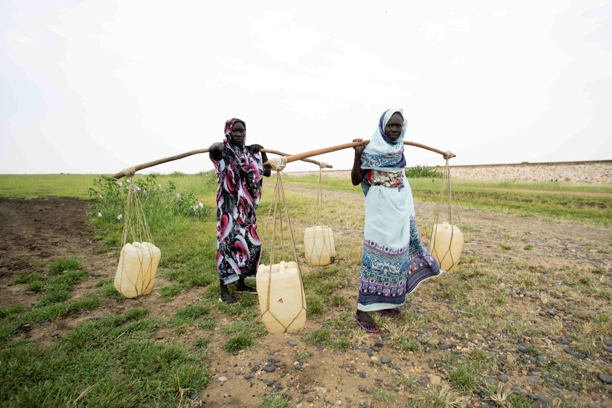 FAOMali's tweet image. Pour M. Edmond Mukala qui a prononcé le discours conjoint pour @FAOMali, @WFP_Mali et @FIDAfriqueOuest, le programme #SD3C contribuera à atténuer les effets du #Covid_19, des conflits et du changement climatique sur les populations rurales les plus vulnérables au #Sahel