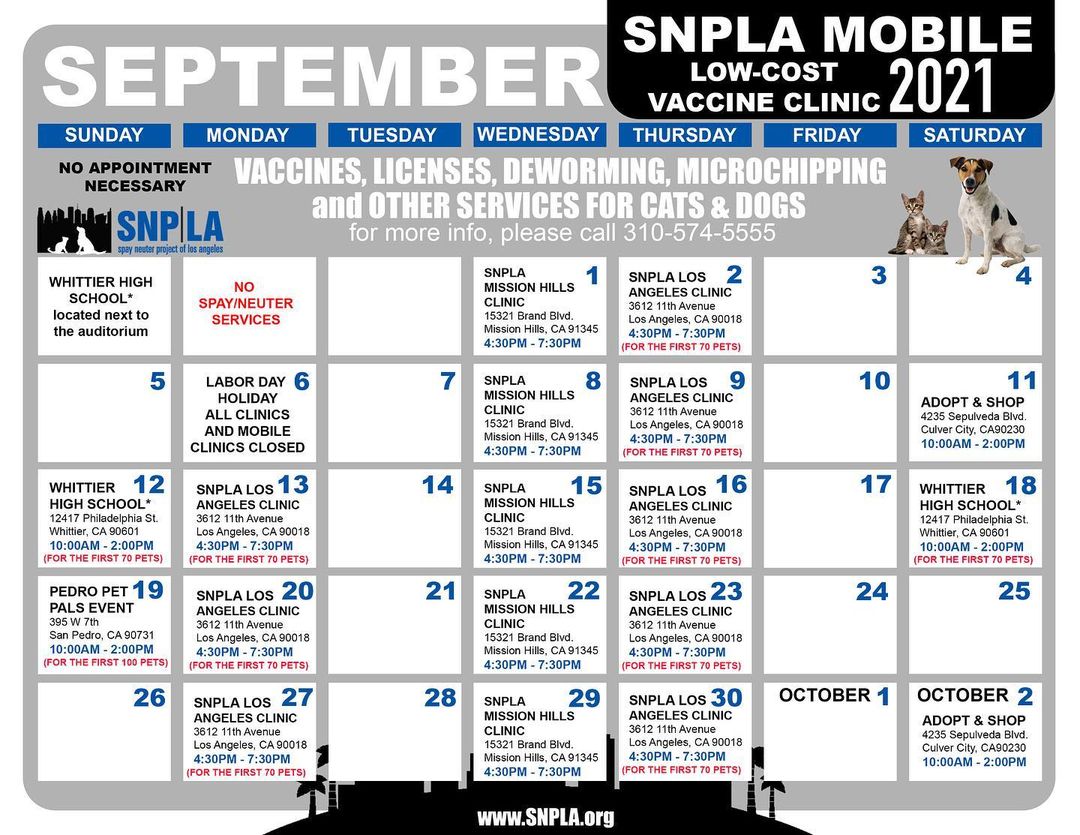 🐶Much Love🐱 (@much_love) on Twitter photo 