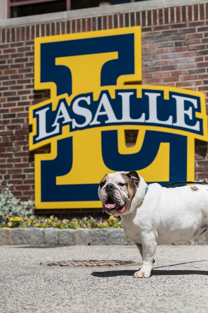 Angus, La Salle's pupscot, is returning to campus this semester. Check out some past photos from our favorite furry friend and be sure to follow @explorerangus on Instagram. 🐾 #NationalDogDay