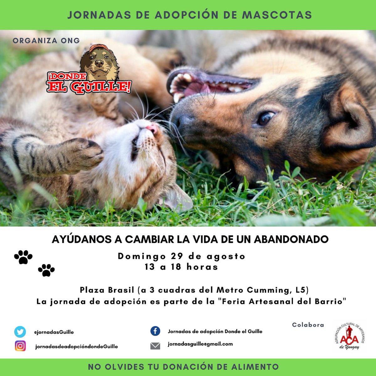 Jornadas del Guille (@jornadasguille) on Twitter photo 