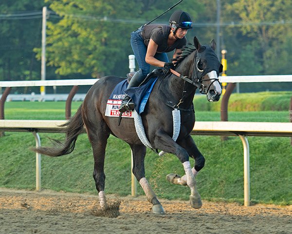 BH_AEberhardt's tweet photo. Contenders for the #Runhappy #Travers were going through final preparations as the G1 race nears @TheNYRA #Saratoga #TheSpa Favorite #EssentialQuality in blinkers for gate schooling + #DynamicOne #Masquerade #MilesD By Tapit, Union Rags, Upstart, Curlin! More at #BHDaily #BH+ https://t.co/XJYSReTMVk