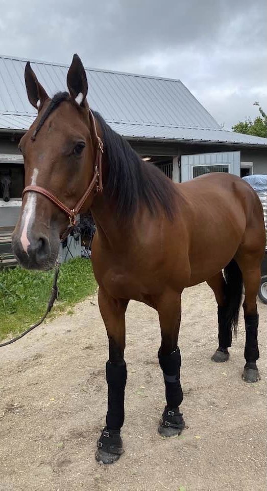 Fina Moses vinner debuten i vår regi på 11,1 med gott om krafter kvar⭐️