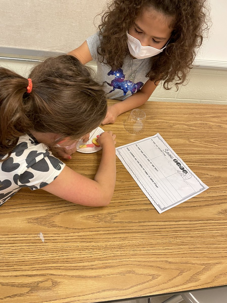 Rae Clune tweet media