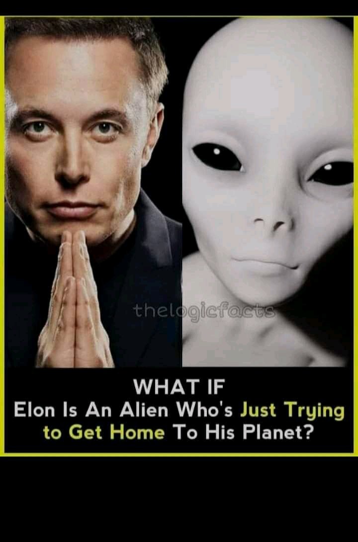 ChetuYuvi's tweet photo. Are u an alien @elonmusk 
A great intelligence hidden in you.@Tesla 
@dogecoin 
@cz_binance 
@BillGates
@PMOIndia 
@sundarpichai 
@BBCScienceNews @wonderofscience 
@NDTVProfit @bitcoinnews @ethereum @BitcoinMagazine 
@POTUS @JoeBiden @newscientist @sciam https://t.co/fx5inlwGTn