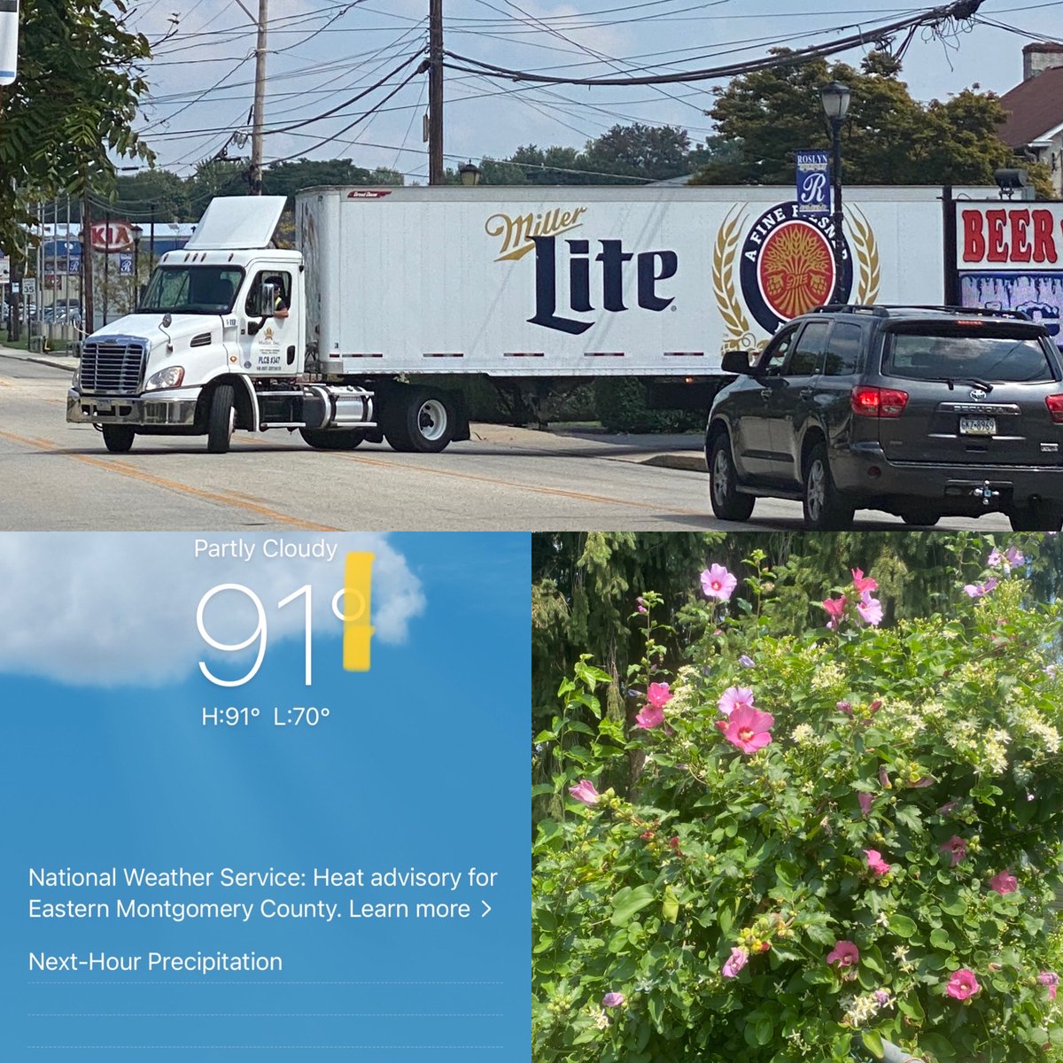 tlaws6's tweet photo. 5k #runch followed by 1mi walk
Underestimated the heat index😅🥵💦
#positivemovement #bighomieonthemove #bmrphilly #teamordinary #teamultra #training #halfmarathontraining #beatyeserday #shokzsquad #squadeasy #runchat #bbibchat #slowaf #beerrunning #runningmotivation https://t.co/dBIMy0qDJV