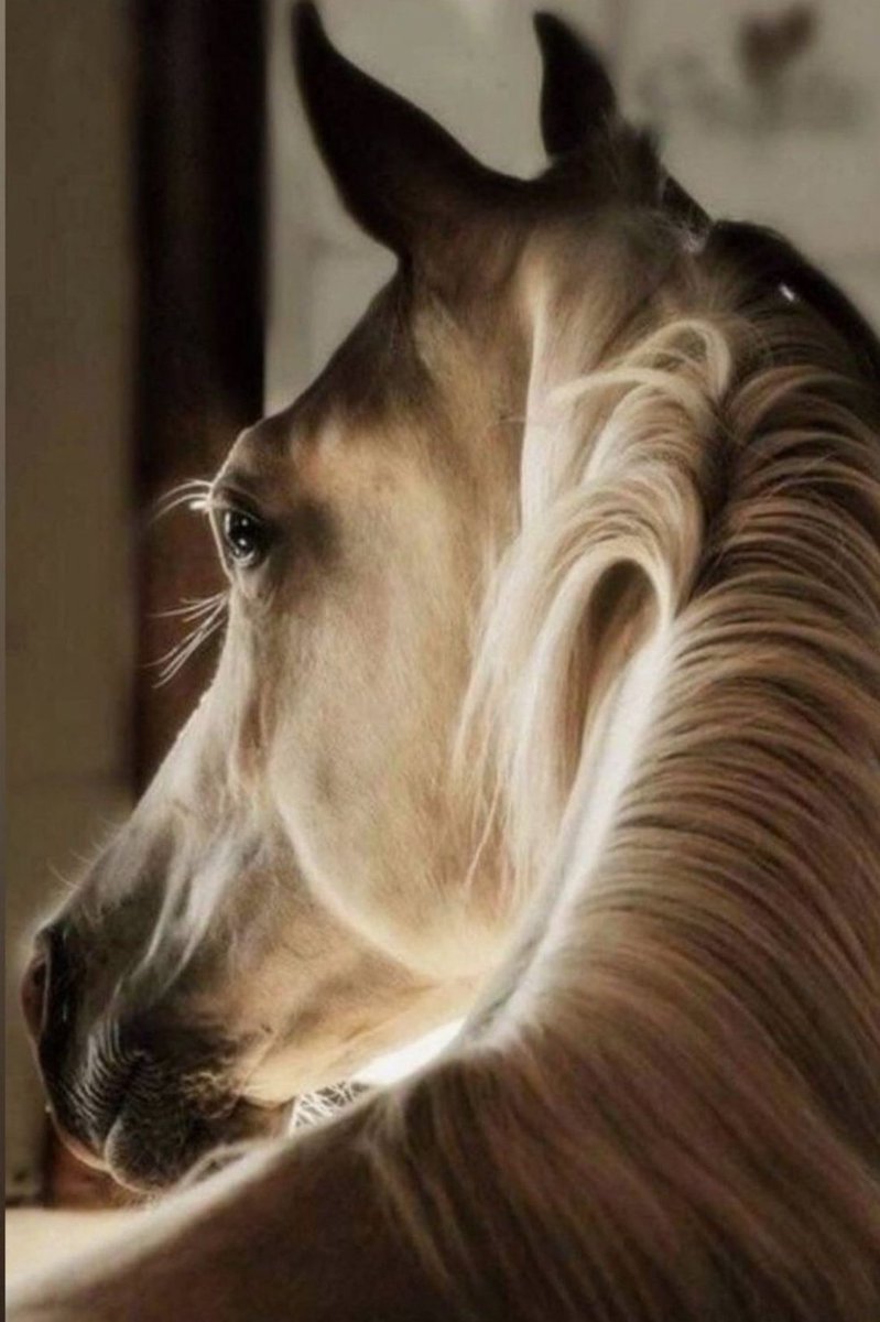 Bir eczâ peşine takıldı ceset
Sabrın narkozu bizi uyuttu...
youtu.be/dL9lPj7f_sQ

kbanudag
#aze7