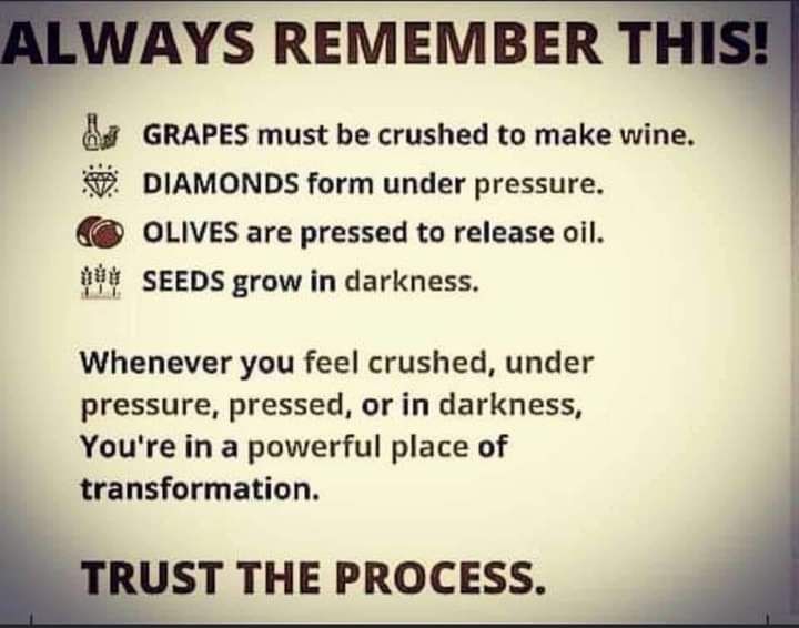 Shawntrae W tweet media