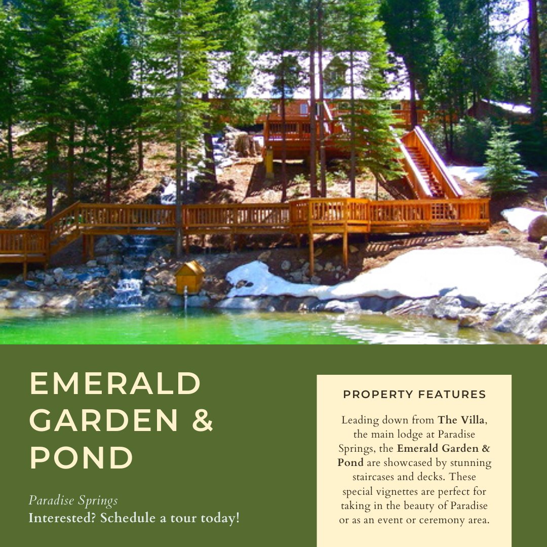 Paradise_Spring's tweet image. The Emerald Garden and Pond combine nature and architectural beauty to create a perfect area for your special celebration.

Schedule a tour today: paradisespringsmountain.com/emerald-pond--…

#ParadiseSprings #Oakhurst #Yosemite #Lodge #EventVenue #WeddingVenue #WeddingService