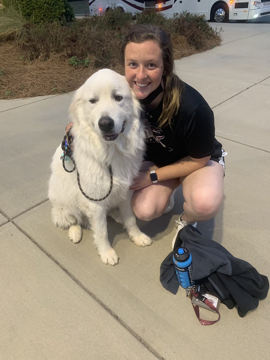 Sending lots of hugs and ♥️ to our favorites on #NationalDogDay! 🐶🐾

#EUSB 🥎