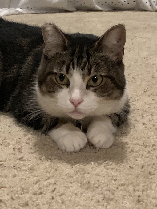 How can you say no to this pussy???? https://t.co/yr4xNEK1df<a href="/tag/mvsales"class="tags"><span>#mvsales</span></a>