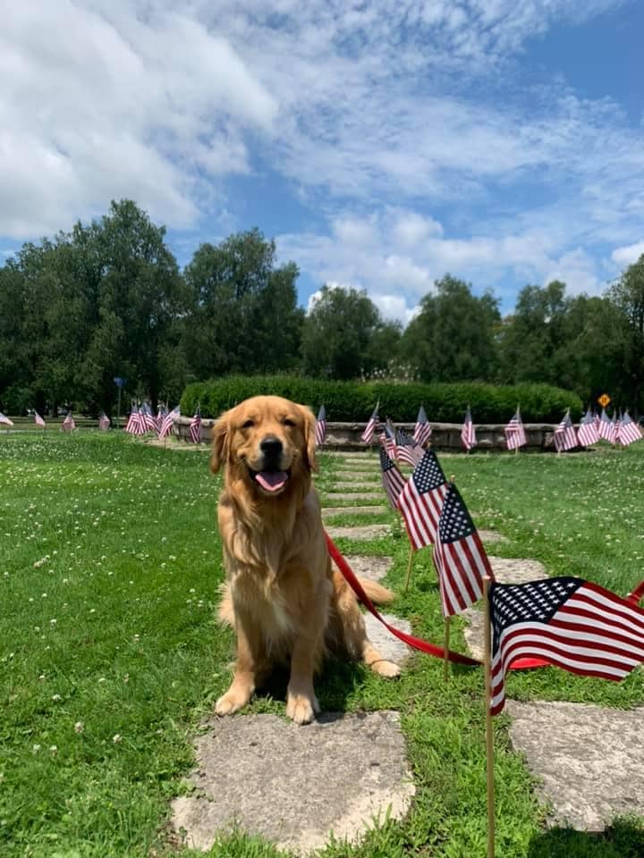 StratFS's tweet image. An appreciation post for our paw-some Strategic pups! Happy National Dog Day! #NationalDogDay 🐾