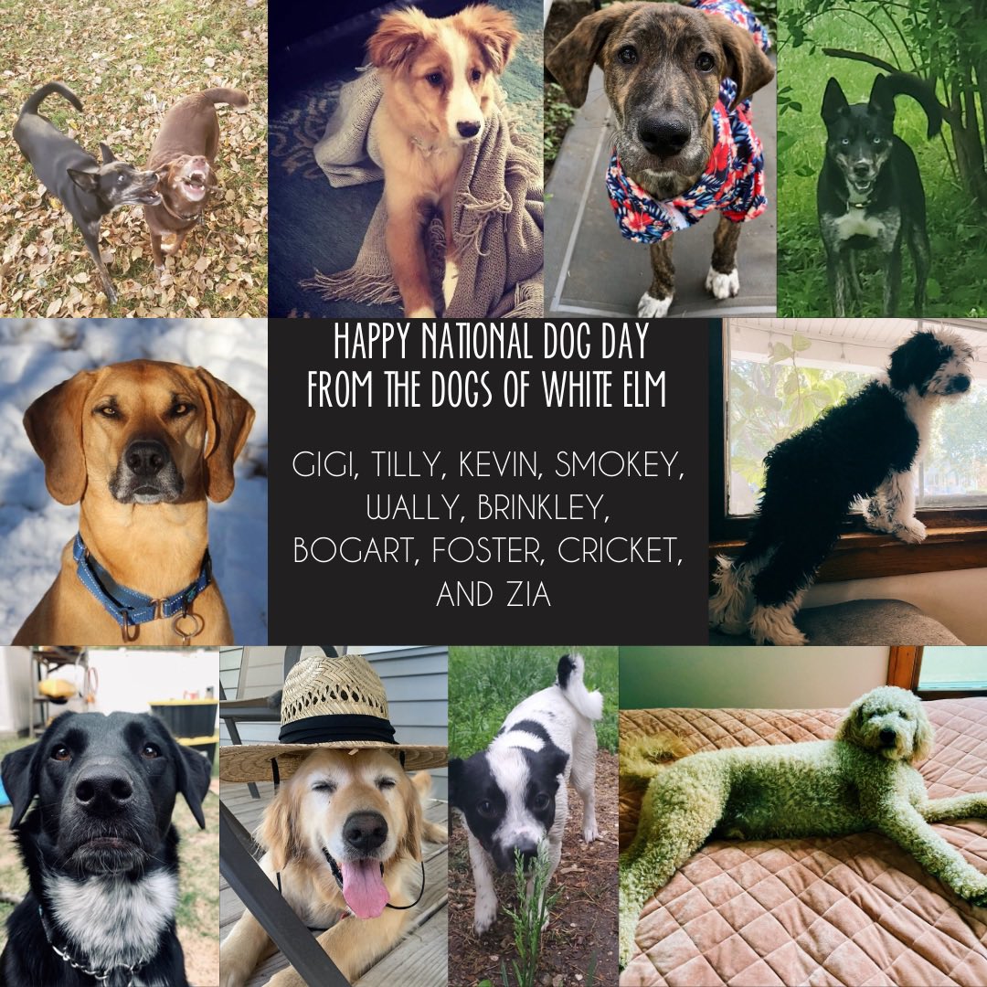 🐾HAPPY•NATIONAL•DOG•DAY🐾
•
From all the goodest boys &amp; girls at 
White Elm Brewing Co.