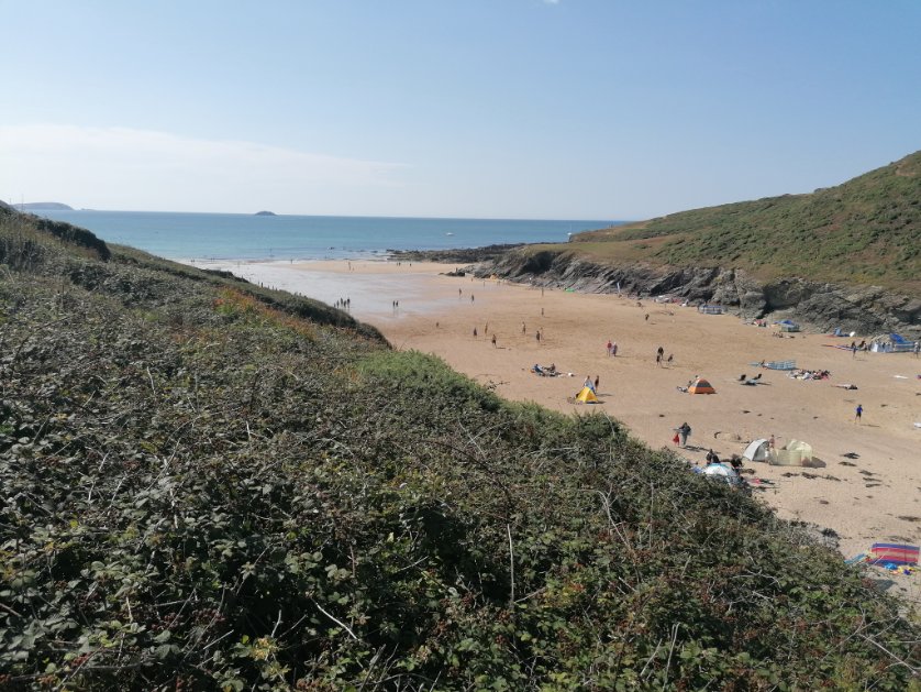 Nick Palmer 🇺🇦 tweet media