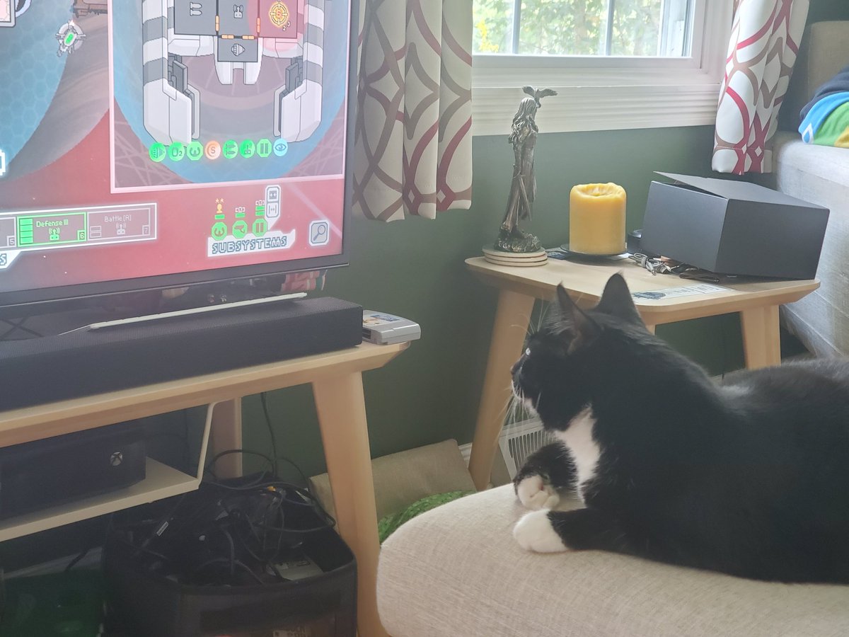 Luna appreciating some quality <a href="/BaerTaffy/">Baer (B SUPREME)</a> content.