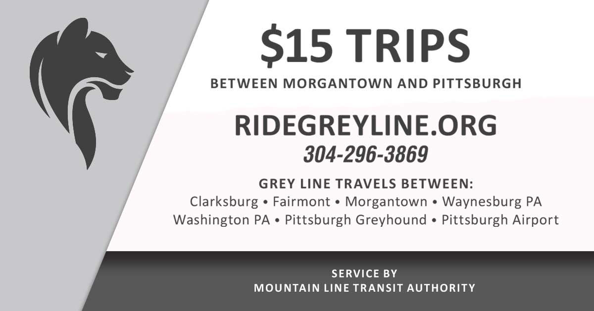 ML29grey tweet media