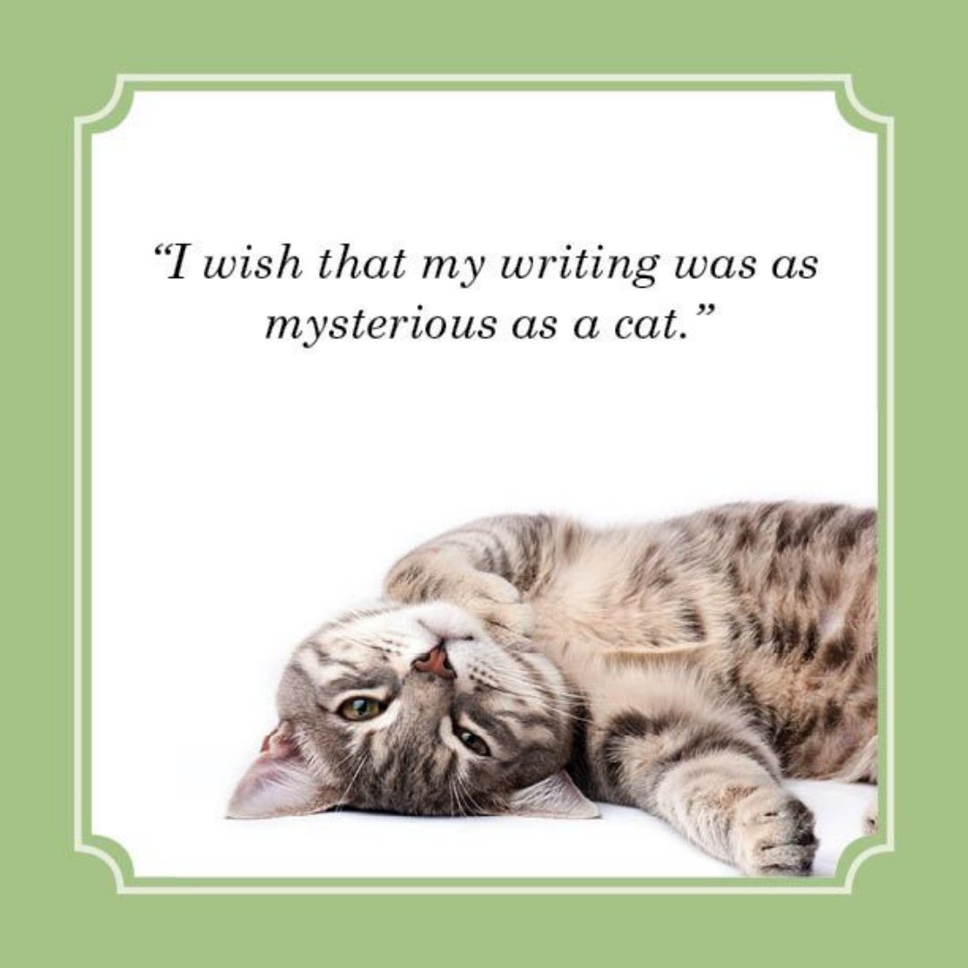 theanifirm's tweet photo. I wish that my #writing was as #mysterious as a #cat https://t.co/OBy4g1qrCO
