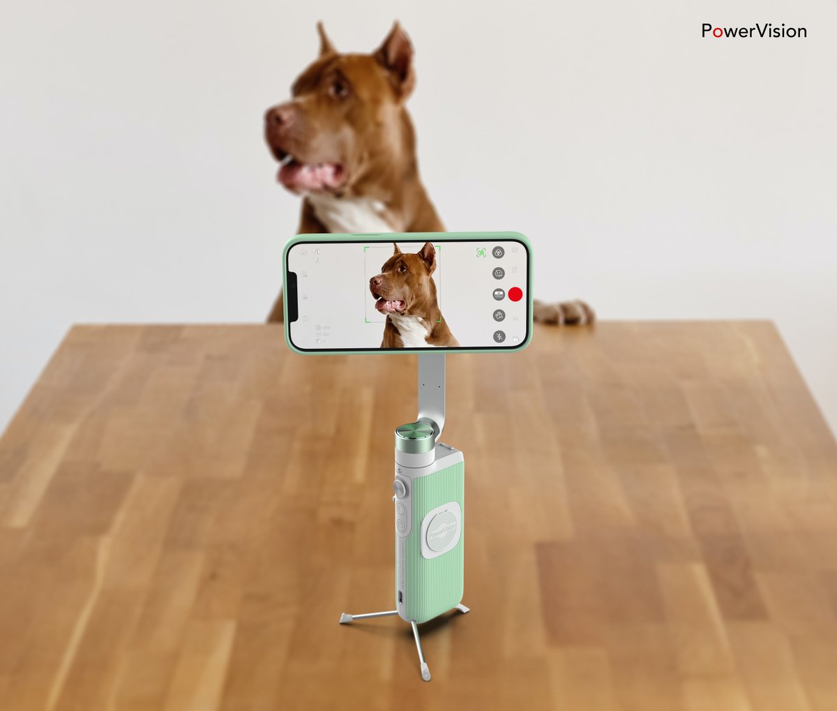 PowerVision tweet media