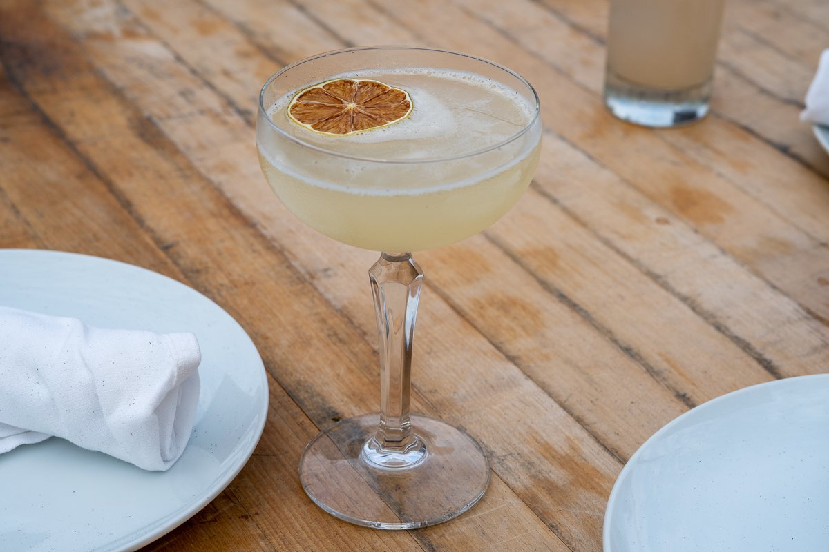 Milo and Olive tweet media