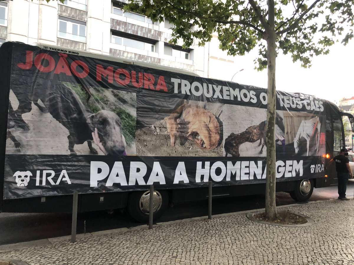O activismo vale sempre a pena. Se não for hoje, será amanhã. 💪🏻pessoas lindasss que estão nesta manifestação contra os maus tratos a animais e contra a vergonha que é homenagear quem se dica à sua tortura 🤍