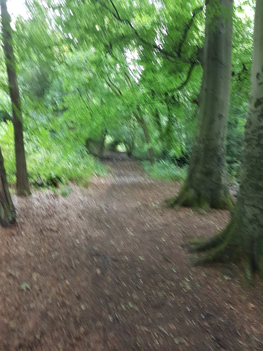 #AHPsActive 
You can tell it was not an office day with that step count!
Lots of walking and lots of outdoor time 🌞