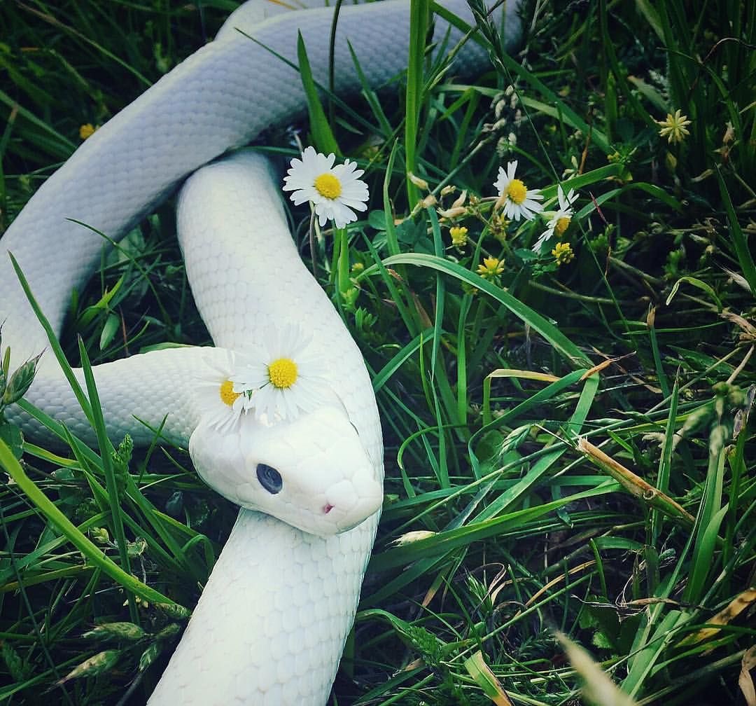 h.🐉 tweet media