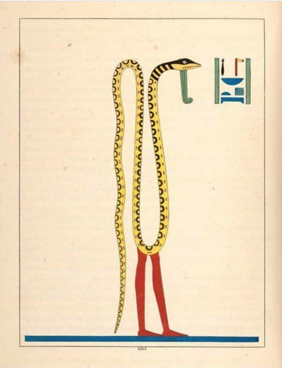 HawaiiMeta's tweet photo. LOOKING LIKE YAT THO ^^)
#yathub #yatforce 

Jean François Champollion, Apophis - snake-god of the underworld 1823-1825 https://t.co/QWP3rV9tO6