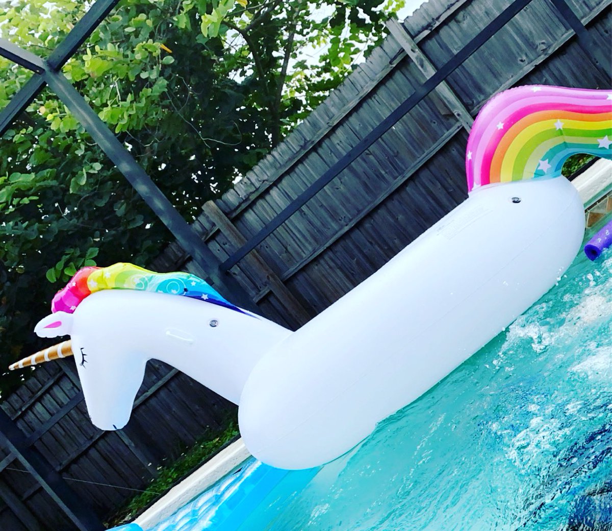 JaXboxChick's tweet photo. This is the second float like this Iβve owned and I love it so much. This is Bethica :) Named by one of @ThePlasticBob spawn :) isnβt she glorious?
Also our after school routine is my favorite.
#poolparty #unicorn #unicornfloat #poolday #afternoon https://t.co/Hl5Wrm9nUI