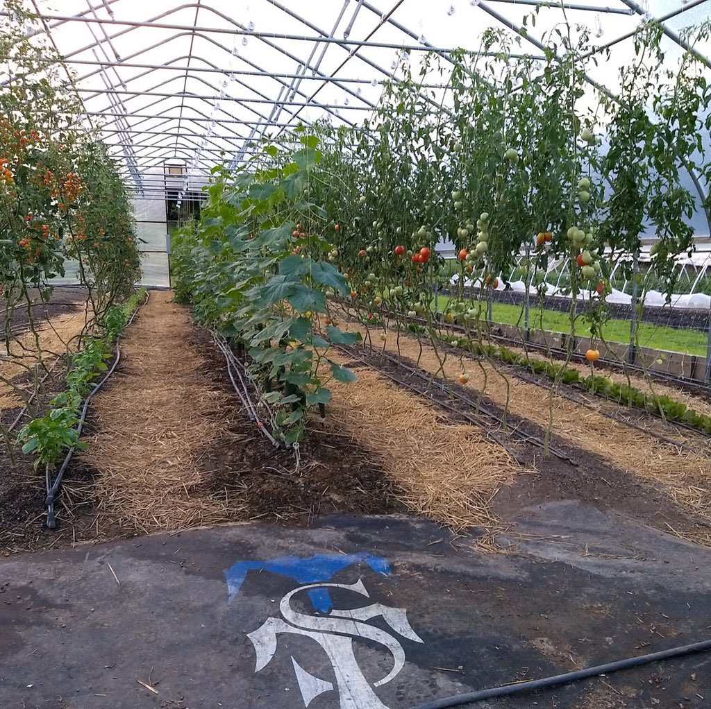 St. Timothy's School (@sttims1) on Twitter photo St. Timothy's was selected from over 1,400 applications across the U.S. & Canada for a Garden Grant from the <a href="/WholeKidsFnd/">Whole Kids</a> in support of our Redlands Farm. Funds from this grant will help expand educational efforts in furthering our health and wellness and ecology curriculum. St. Timothy's was selected from over 1,400 applications across the U.S. & Canada for a Garden Grant from the <a href="/WholeKidsFnd/">Whole Kids</a> in support of our Redlands Farm. Funds from this grant will help expand educational efforts in furthering our health and wellness and ecology curriculum.
