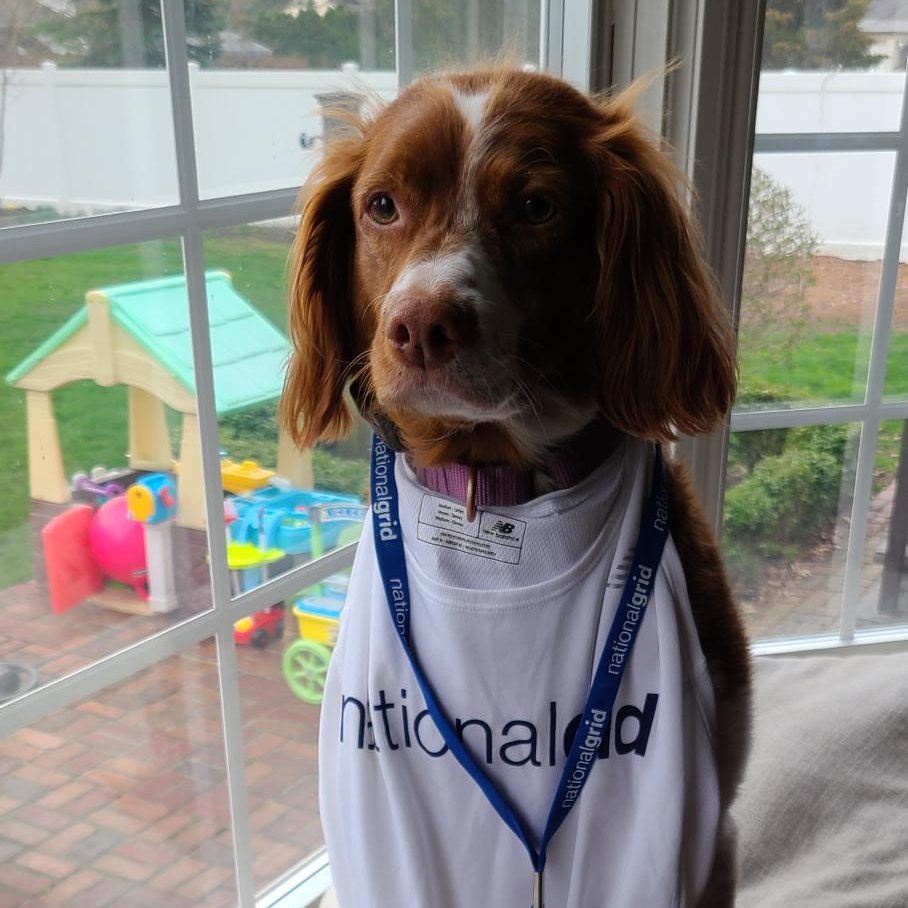 Happy #NationalDogDay to all of our National Grrrrid canines! Show some puppy love to your four-legged friend today by tagging us in a photo of them with #GridDog. We might repost it! 🐶