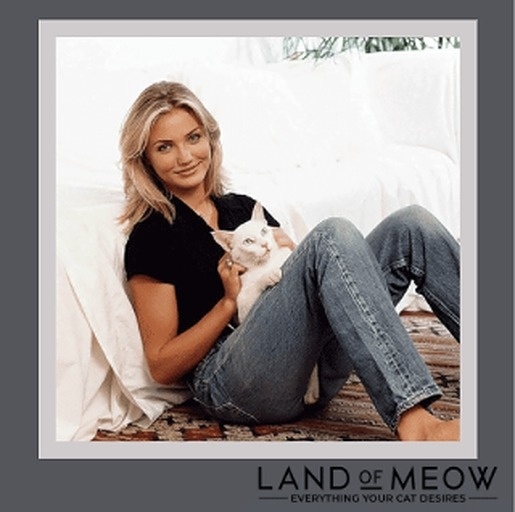 HAPPY BIRTHDAY CAMERON DIAZ! Cameron Diaz - a successful actor, author, producer and model she retired from acting in 2014 Cameron to focus on her family and her organic wine brand called Avaline.

#famouscatsfriday
#landofmeow
#camerondiaz https://t.co/lit4vyWmLj