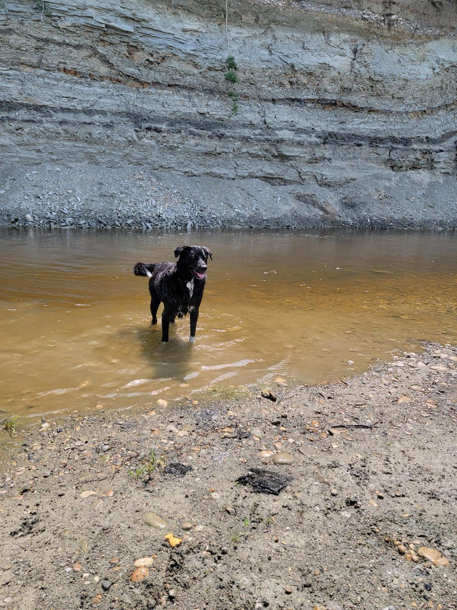 PhoneExperts tweet media