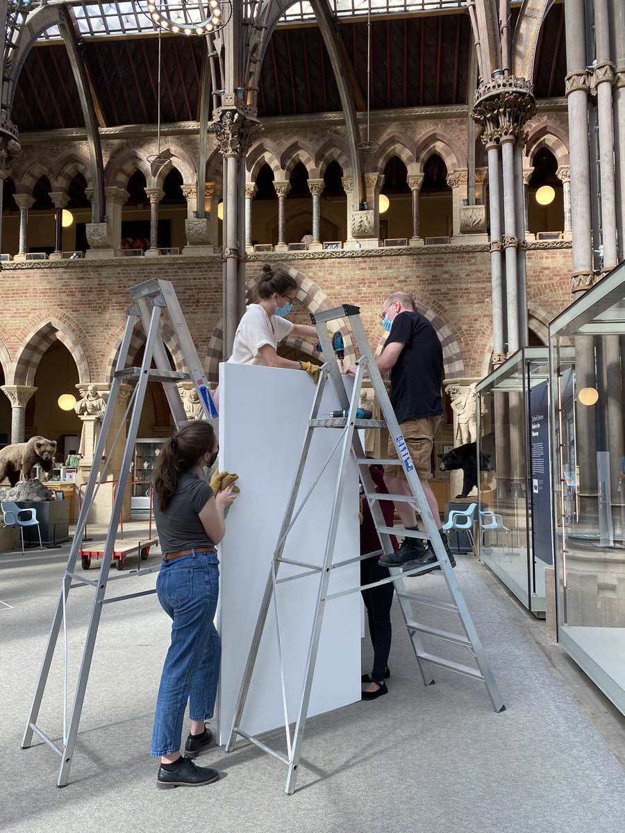 Incredible team effort from @mplsoxford and @morethanadodo to get the #BeyondBoundaries exhibit up today. Many thanks to @TaneshaAllen16 & museum staff and volunteers for helping us, and special thanks to @JoKnights2 for getting us all organised and even drilling! @OxfordSparks