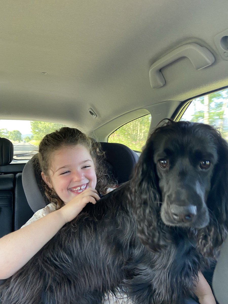 Happy #InternationalDogDay from Rufus, Lilly’s best mate, best cuddler and all round partner in crime!!